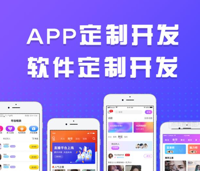 國外應用app定制軟件開發