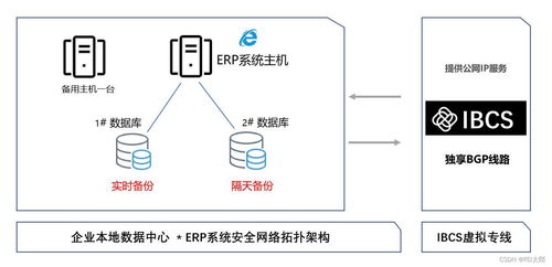 企業erp系統中勒索病毒怎么辦 如何防范數據丟失