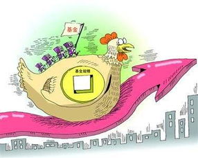 公募基金管理公司的申請條件有哪些