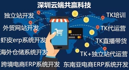 無貨源店群定制開發