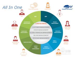 分析netsuite erp授權代理商及系統有哪些功能