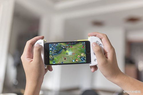 電競陪玩app定制開發(fā)業(yè)務(wù)是怎樣滿足市場需求的