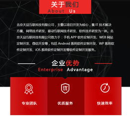 北京app開發(fā)定制,天品互聯(lián)科技