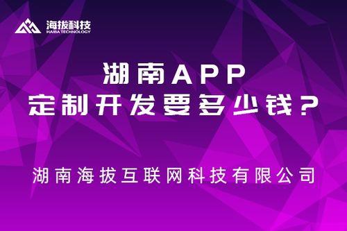 湖南app定制開發要多少錢