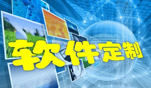 fms貨代軟件,外貿貨代軟件,物流貨代軟件,oa,erp,crm,外貿系統,進銷存系統 專注軟件定制開發