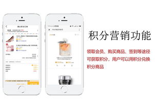 國內小軟件開發外包