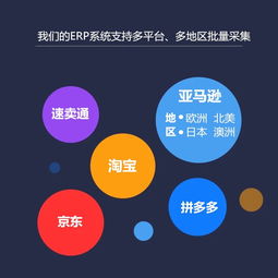 erp源頭亞馬遜erp系統,貼牌,功能定制,獨立部署