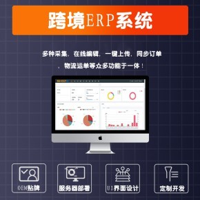 亞馬遜鋪貨ERP管理系統 獨立部署、OEM貼牌與定制開發解決方案