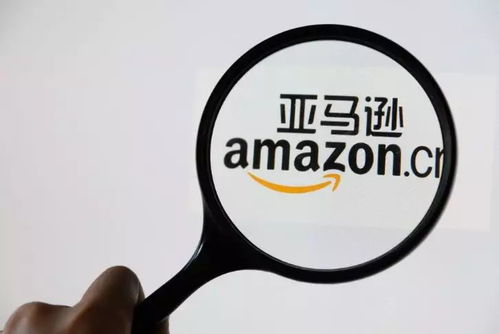 跨境電商的持續性與定制ERP系統的戰略價值