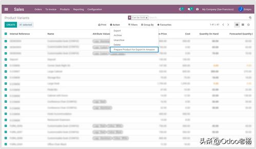 成熟穩定的免費開源跨境電商ERP系統解決方案 開發與應用定制指南
